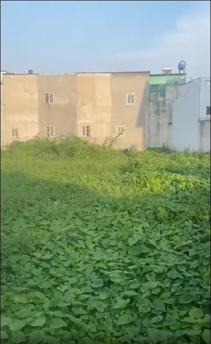 1178m2 đất mặt tiền đường nhựa xã Vĩnh Lộc B, Bình Chánh giá 24 tỷ