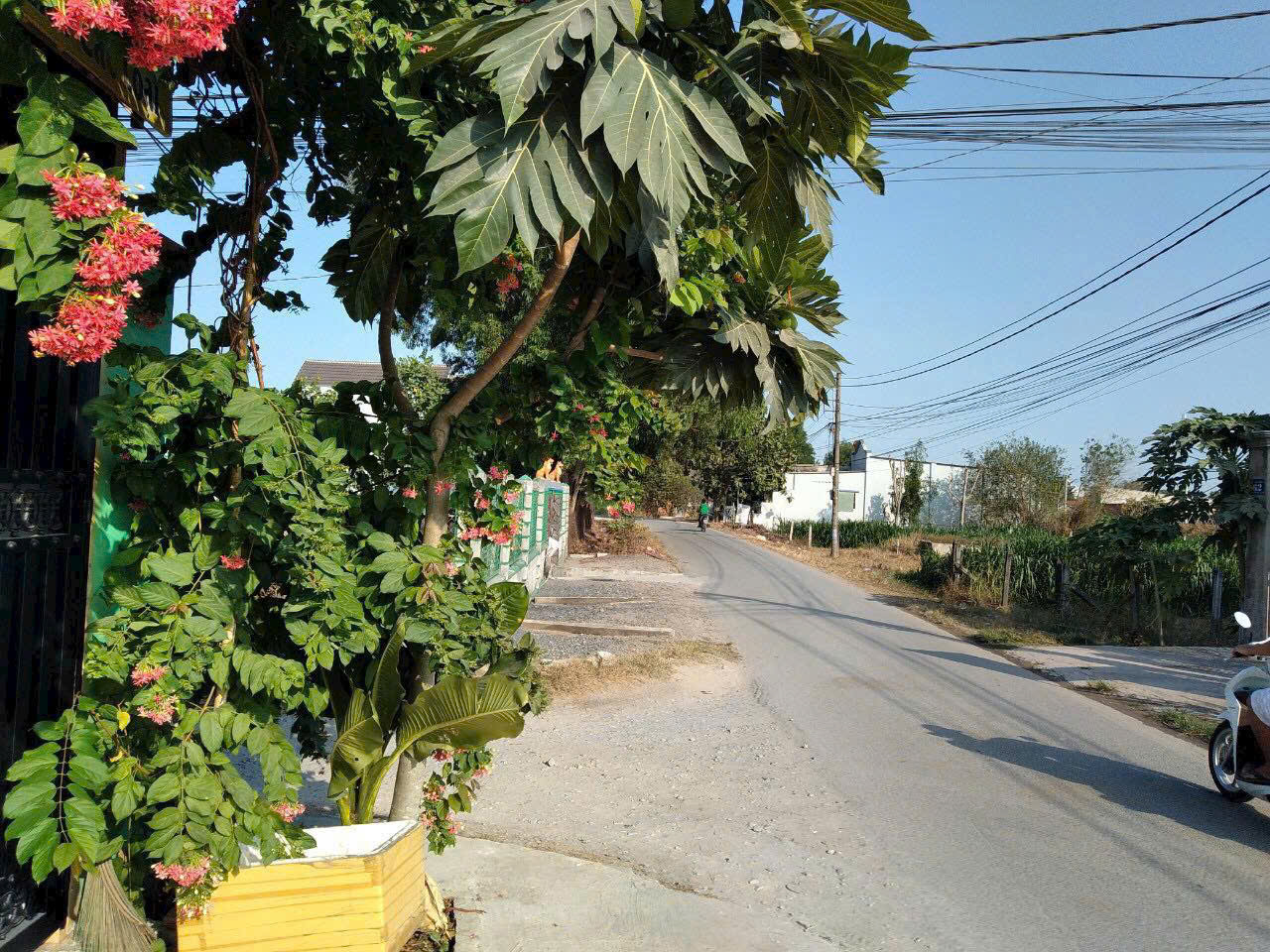 Nhà 2 mặt tiền đường nhựa hẻm Tỉnh Lộ 15, xã Tân Thạnh Đông dt 100m2 1 lầu 3pn 2wc giá 2,29 tỷ Nhà 2 mặt tiền đường nhựa hẻm Tỉnh Lộ 15, xã Tân Thạnh Đông dt 100m2 1 lầu 3pn 2wc giá 2,29 tỷ