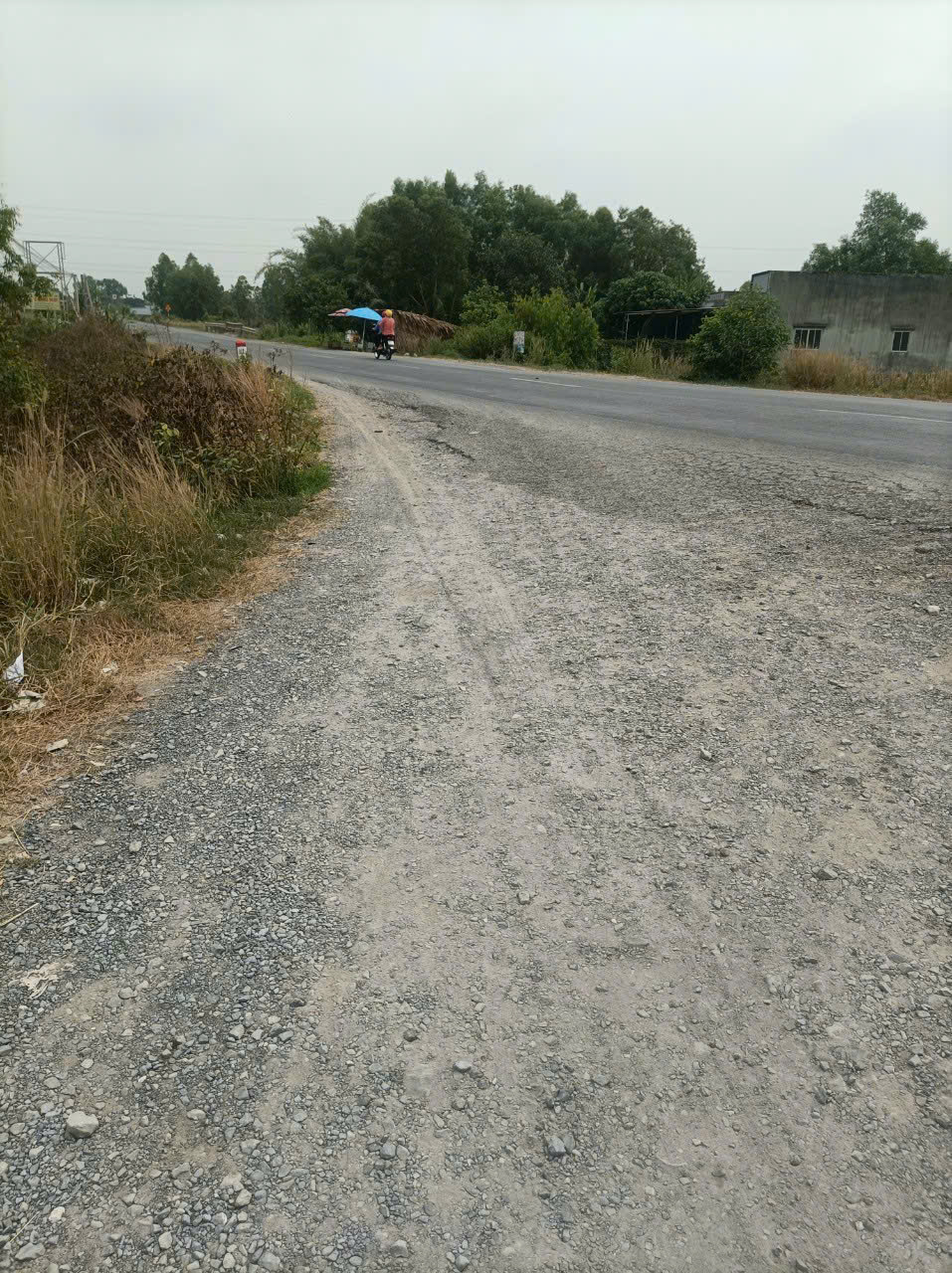 4300m2 đất mặt tiền quốc lộ N2 xã Hòa Khánh Đông, Đức Hòa, Long An giá 17,5 tỷ