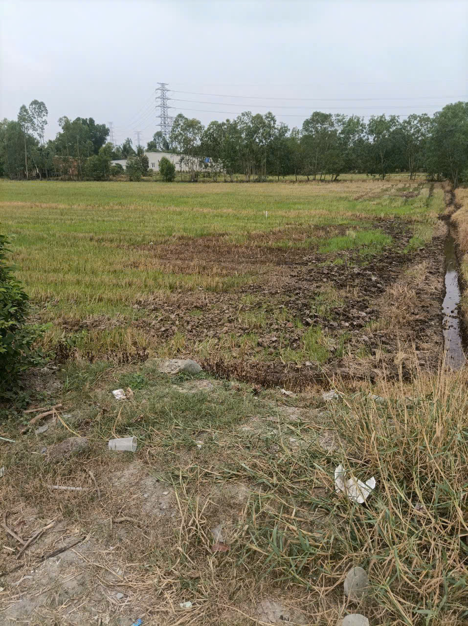 4300m2 đất mặt tiền quốc lộ N2 xã Hòa Khánh Đông, Đức Hòa, Long An giá 17,5 tỷ