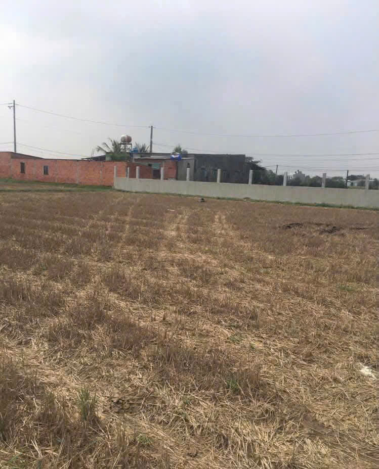 2240m2 đất xã Đức Hòa Thượng, Đức Hòa, Long An giá 3,8 tỷ 2240m2 đất xã Đức Hòa Thượng, Đức Hòa, Long An giá 3,8 tỷ