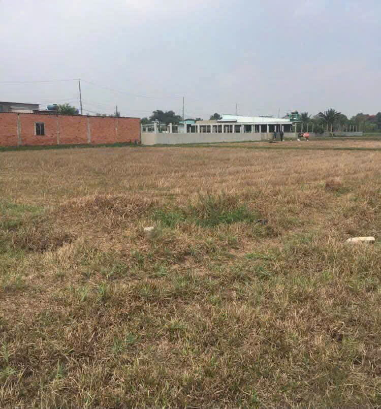 2240m2 đất xã Đức Hòa Thượng, Đức Hòa, Long An giá 3,8 tỷ 2240m2 đất xã Đức Hòa Thượng, Đức Hòa, Long An giá 3,8 tỷ