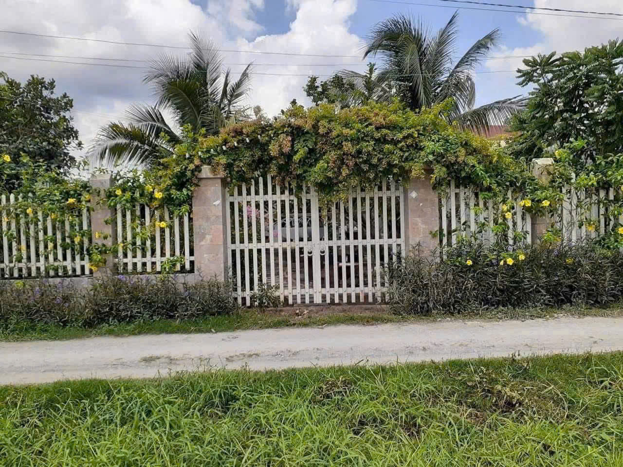 Biệt thự siêu mini sân vườn xã Đức Hòa Đông, Long An dt 306m2 3pn 2wc giá 2,45 tỷ Biệt thự siêu mini sân vườn xã Đức Hòa Đông, Long An dt 306m2 3pn 2wc giá 2,45 tỷ