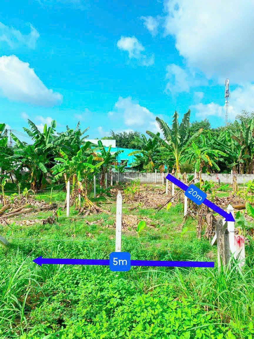 Nền 100m2 mặt tiền đường nhựa 129, xã Tân Thạnh Đông, Củ Chi giá 2,6 tỷ Nền 100m2 mặt tiền đường nhựa 129, xã Tân Thạnh Đông, Củ Chi giá 2,6 tỷ