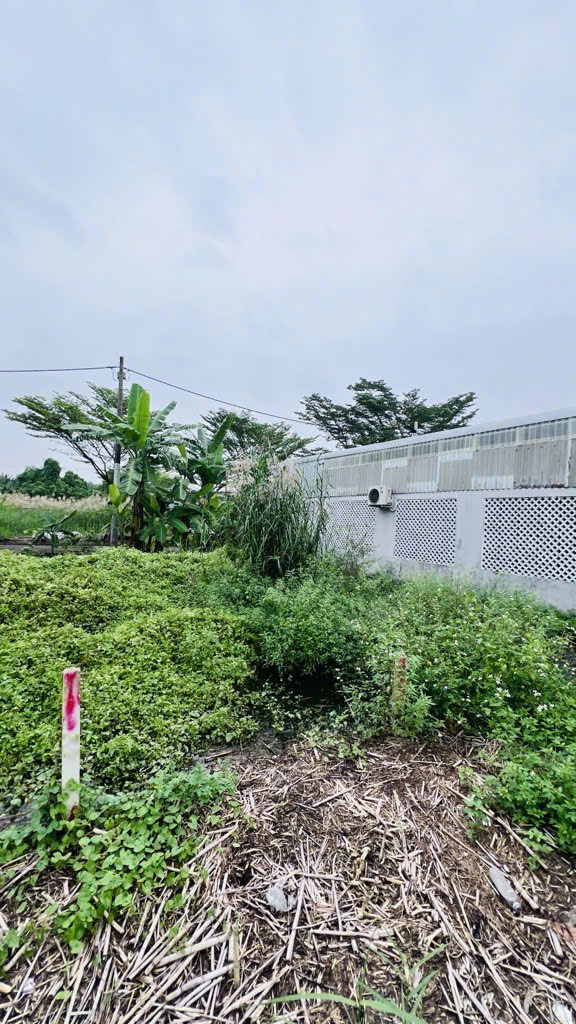 Bán đất hẻm 512 Nguyễn Văn Tạo, DT 80m2, Giá 3.2 tỷ
