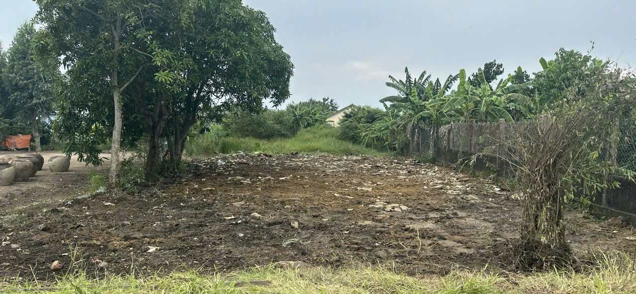 Đất thổ 407m2 mt đường 7m xã LHT giá rẻ đầu tư cho khách mua 1 tỏi 450tr Đất thổ 407m2 mt đường 7m xã LHT giá rẻ đầu tư cho khách mua 1 tỏi 450tr