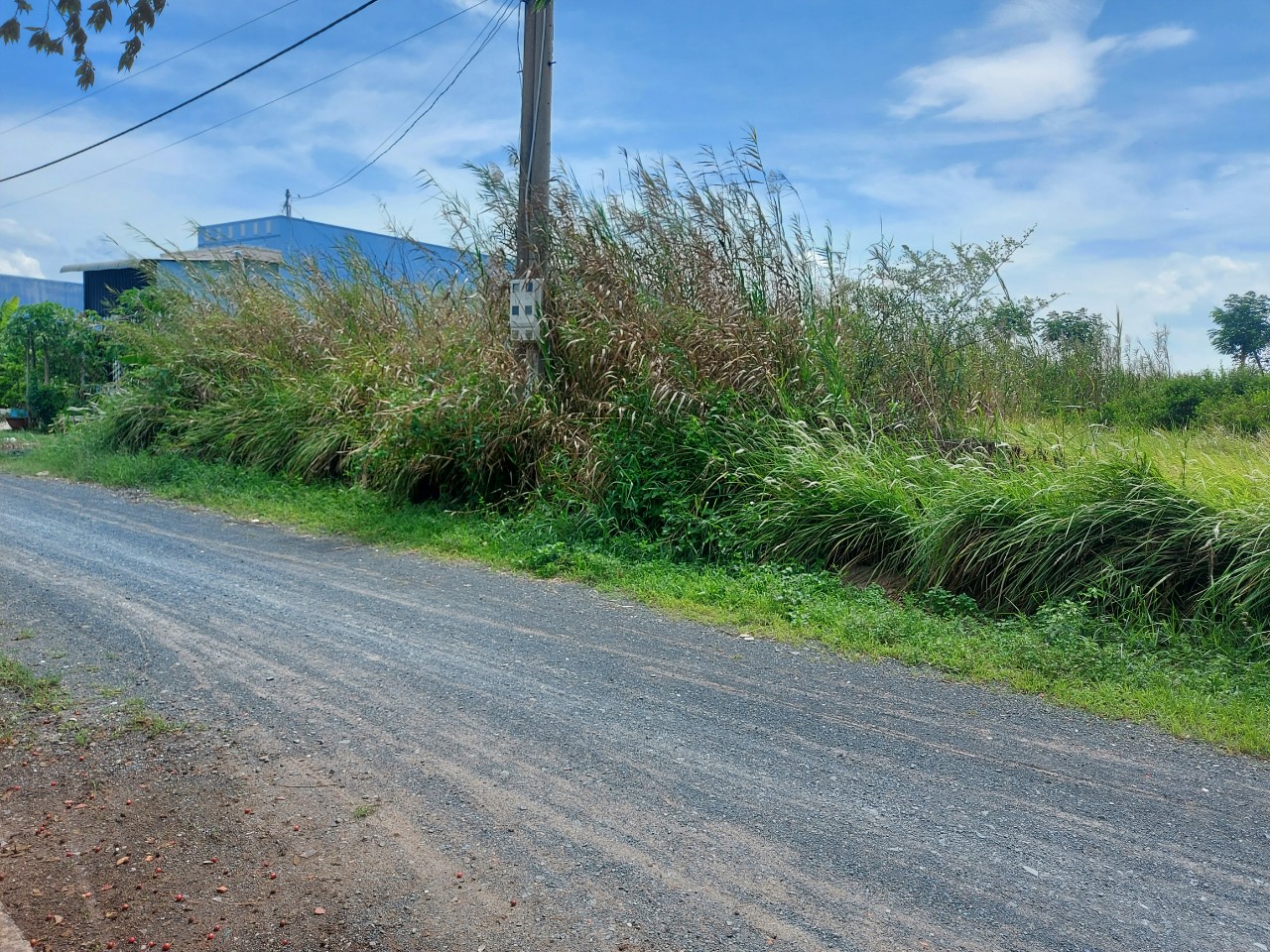 Xả gấp nền đất 80m2 tđc Phước Đông 630tr giá rẻ đầu tư Xả gấp nền đất 80m2 tđc Phước Đông 630tr giá rẻ đầu tư