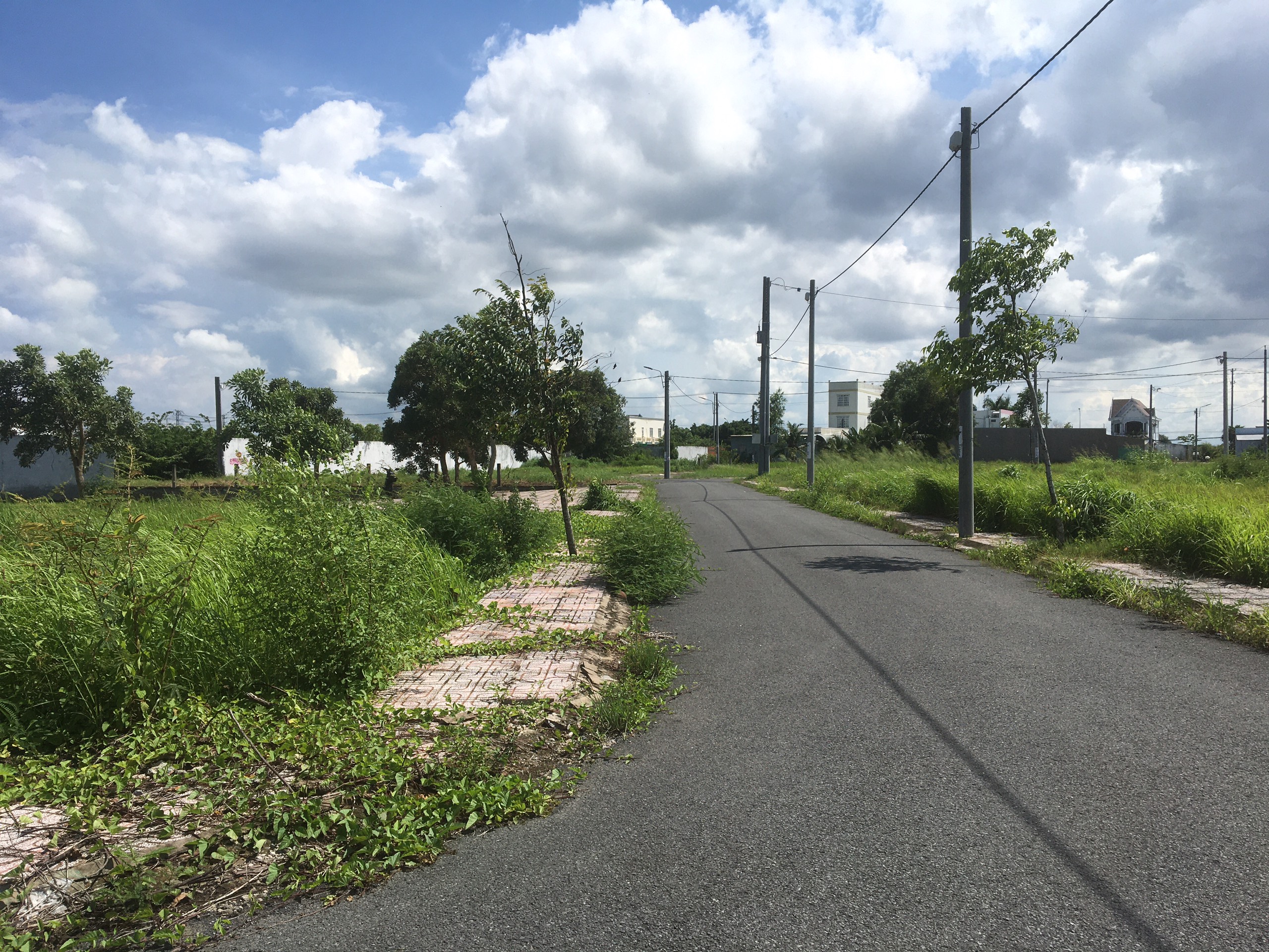 Đất nền dự án 85m2 kdc Nam Phong Lotous garden giá rẻ đầu tư 800tr tl Đất nền dự án 85m2 kdc Nam Phong Lotous garden giá rẻ đầu tư 800tr tl