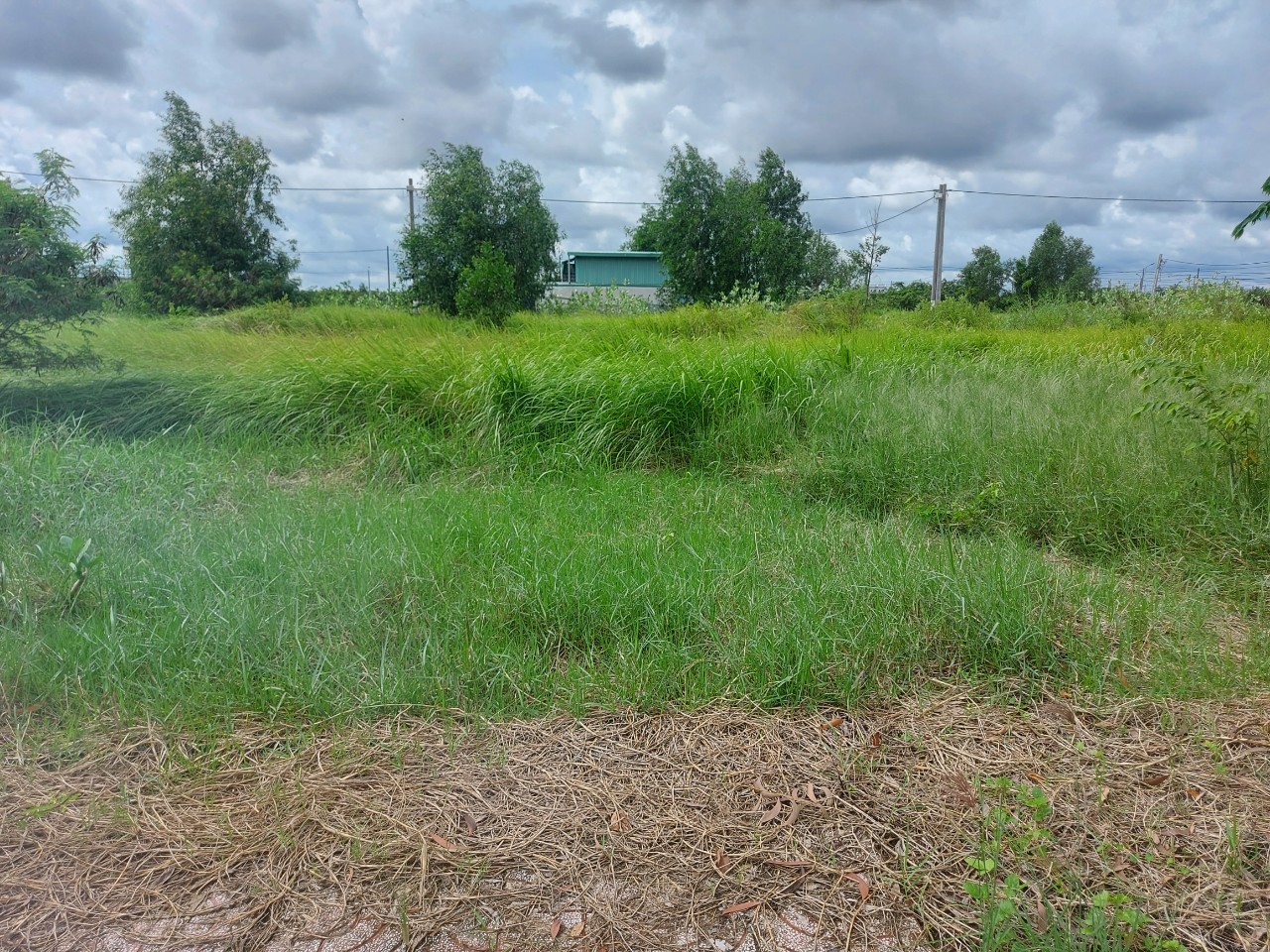 Đất nền dự án kdc An Phú Center 85m2 kẹt cần bán gấp 850tr giá đầu tư Đất nền dự án kdc An Phú Center 85m2 kẹt cần bán gấp 850tr giá đầu tư