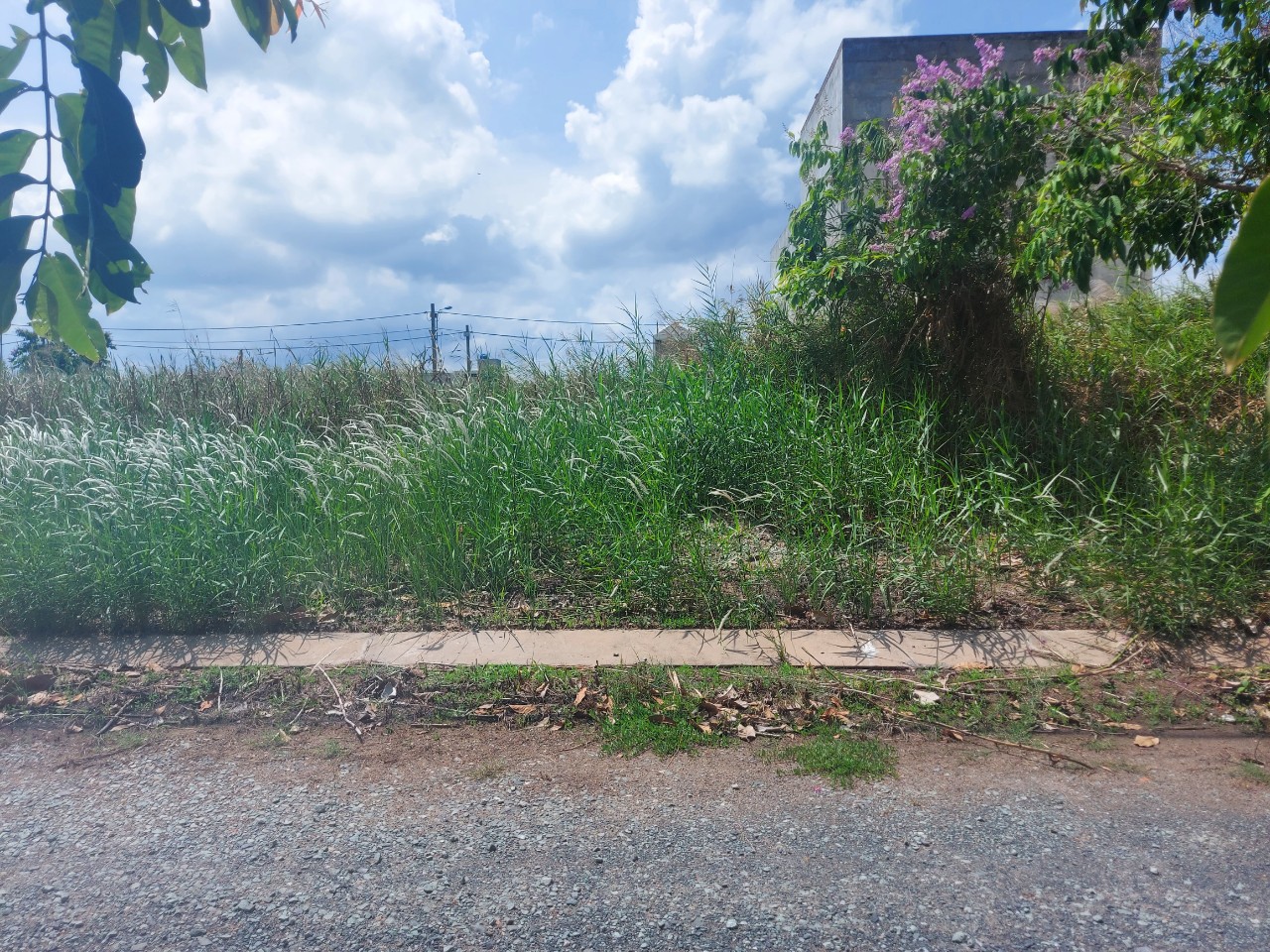 Đất nền view trường học 68m2 khu tđc Phước Đông giá bán gấp 650tr Đất nền view trường học 68m2 khu tđc Phước Đông giá bán gấp 650tr