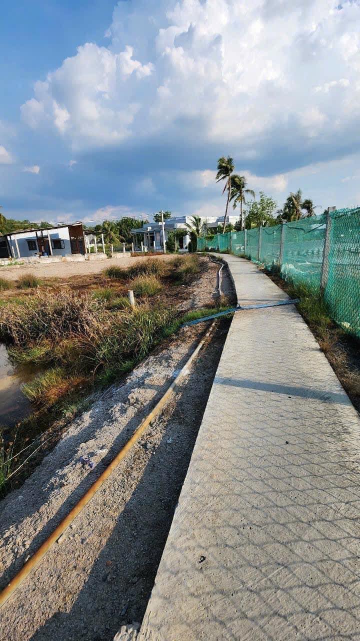 Đất vườn giá rẻ đầu tư 1160m2 xã Tân Chánh hết sổ chỉ 500tr Đất vườn giá rẻ đầu tư 1160m2 xã Tân Chánh hết sổ chỉ 500tr