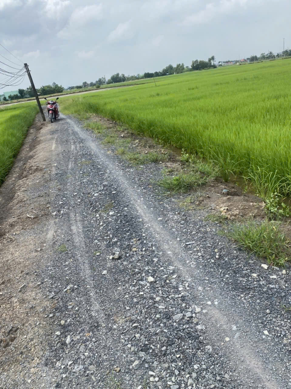 Đất lúa 1335m2 xã Phước Đông mt đường đá xanh 3m giá hết sổ 800tr bao đầu tư