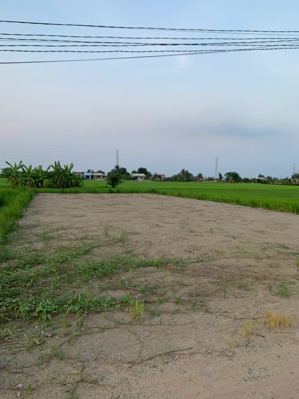 Đất thổ mt đường 7m xã Phước Tuy 150m2 giá rẻ đầu tư 750tr/nền Đất thổ mt đường 7m xã Phước Tuy 150m2 giá rẻ đầu tư 750tr/nền