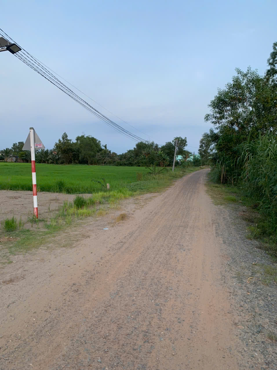 Đất thổ mt đường 7m xã Phước Tuy 150m2 giá rẻ đầu tư 750tr/nền Đất thổ mt đường 7m xã Phước Tuy 150m2 giá rẻ đầu tư 750tr/nền