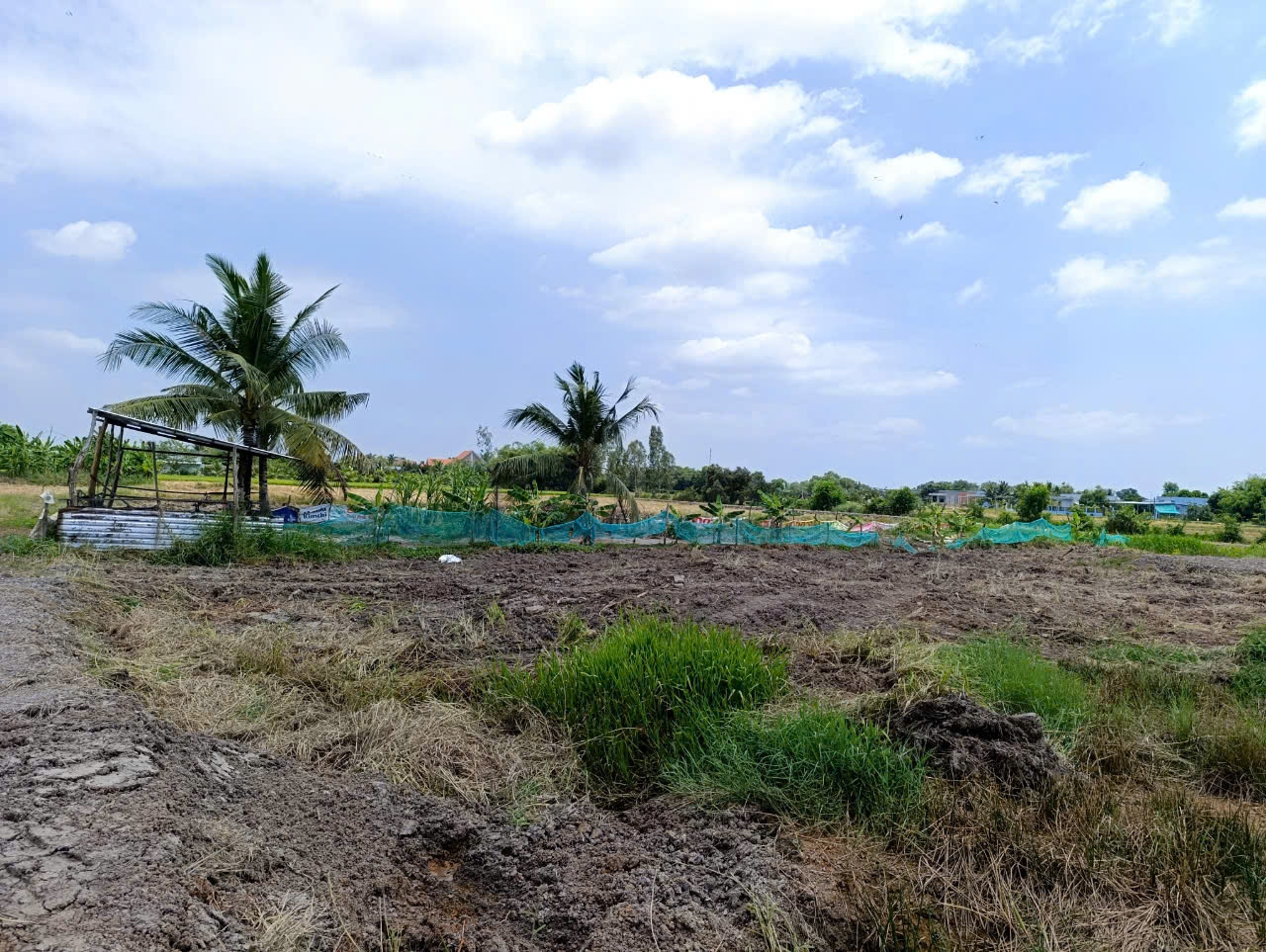 Đất vườn giá rẻ công nhân 522m2 xã Tân Lân giá bán gấp 420tr Đất vườn giá rẻ công nhân 522m2 xã Tân Lân giá bán gấp 420tr