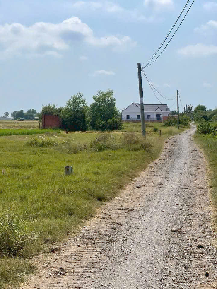 Đất thổ mt xe tải view kênh 483m2 xã Tân Lân giá bao rẻ đầu tư chỉ 1 tỏi 350tr