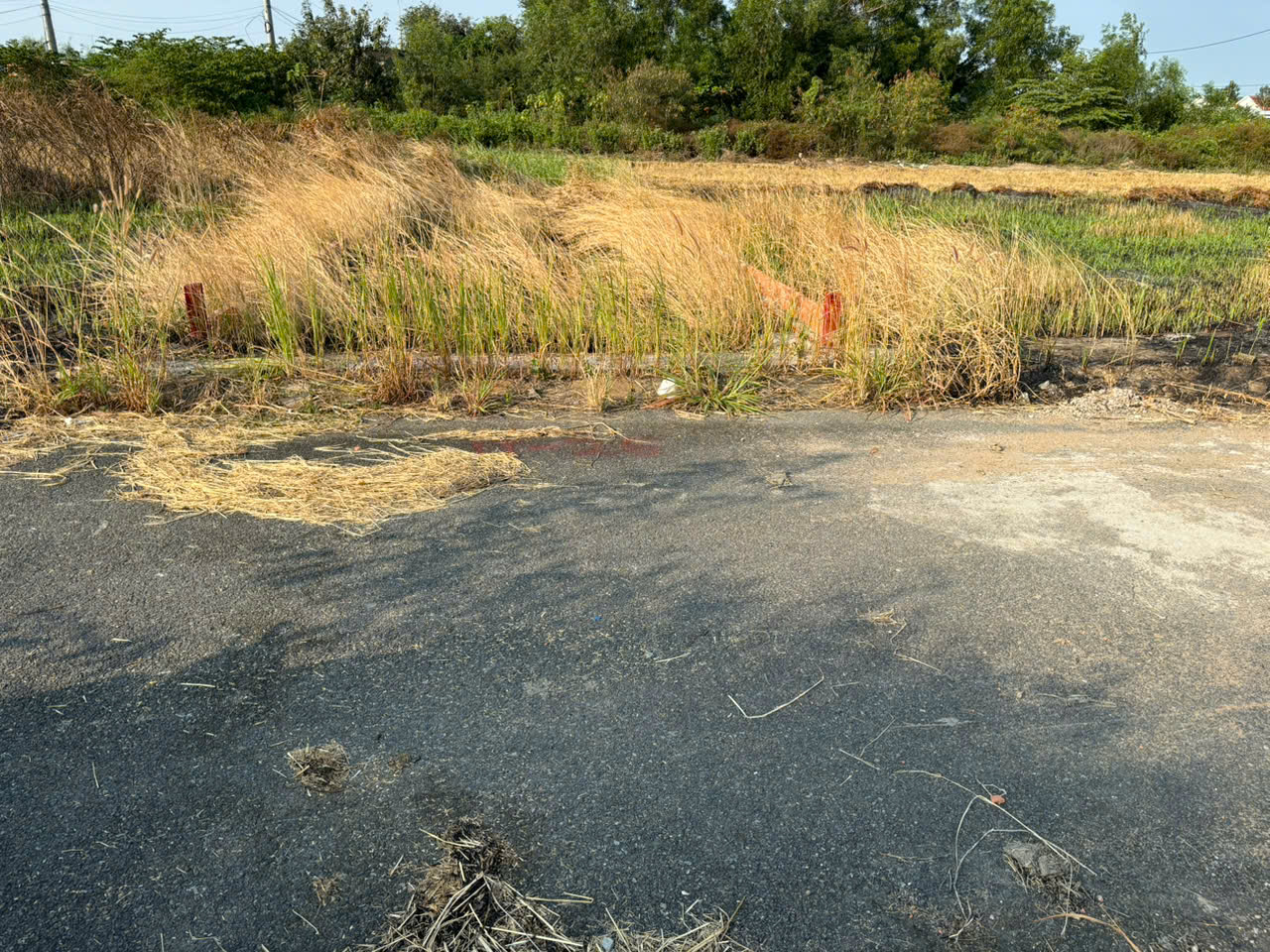 Cần bán gấp nền đẹp 85,5m2 kdc Nam Phong giá đầu tư 730tr