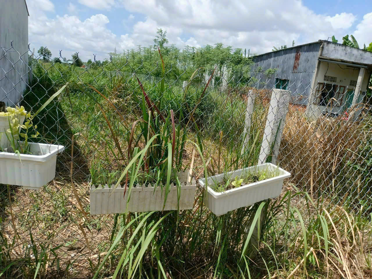 Đất thổ giá rẻ công nhân 100m2(4,5*22) xã Tân Lân cần bán gấp chỉ 320tr