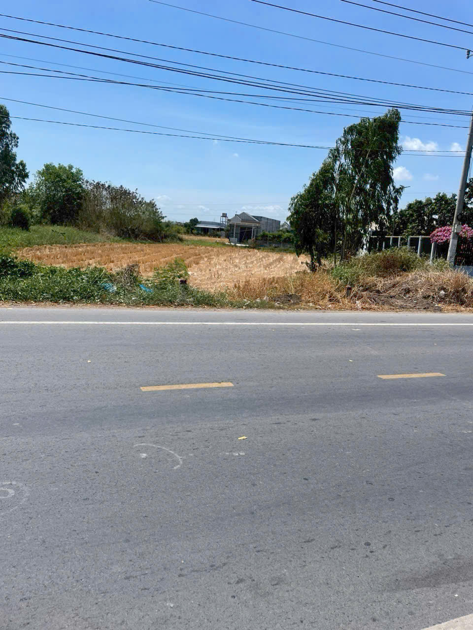 Đất vườn mt đường Quốc Lộ 50 xã Phước Đông 280m2(5*56) kẹt bán xả gấp 1 tỏi 650tr