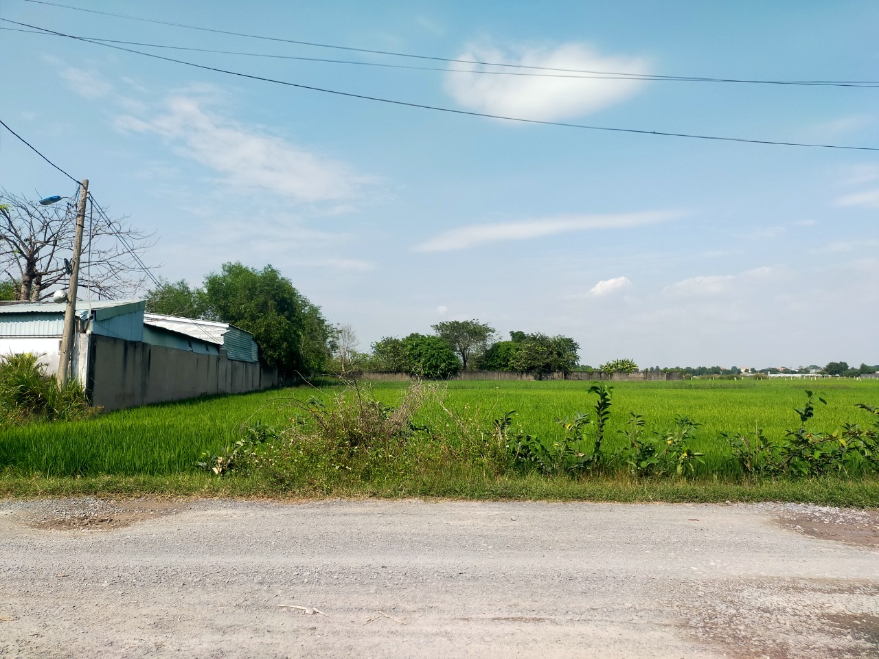 Bán đất mặt tiền Trương Thị Như xã Xuân Thới Sơn Huyện Hóc Môn giá 12,7 tỷ