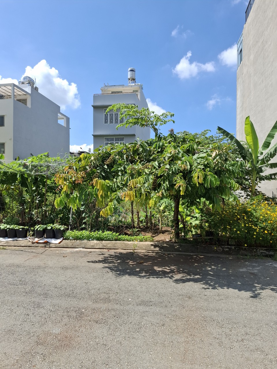 Bán đất đường 659 Phước Long B Quận 9 giá 15 tỷ Bán đất đường 659 Phước Long B Quận 9 giá 15 tỷ