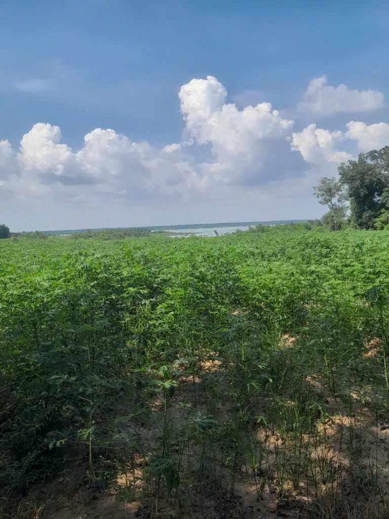 Bán đất  xã Minh Hòa View Hồ Dầu Tiếng Bình Dương giá 47 tỷ