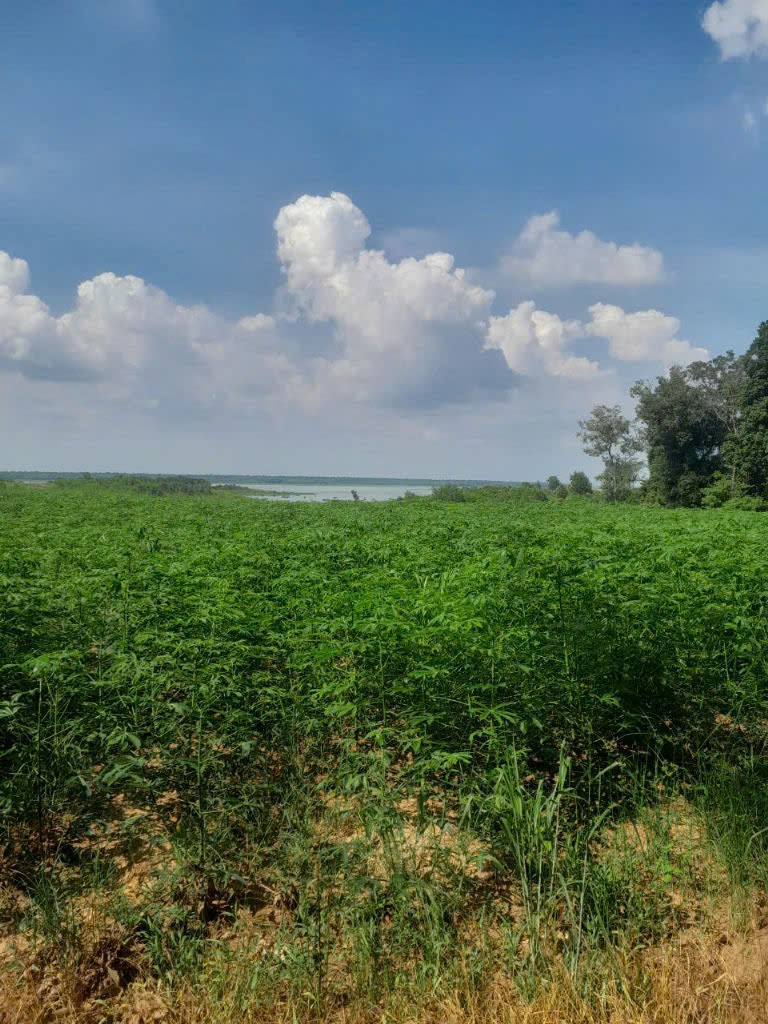 Bán đất  xã Minh Hòa View Hồ Dầu Tiếng Bình Dương giá 47 tỷ