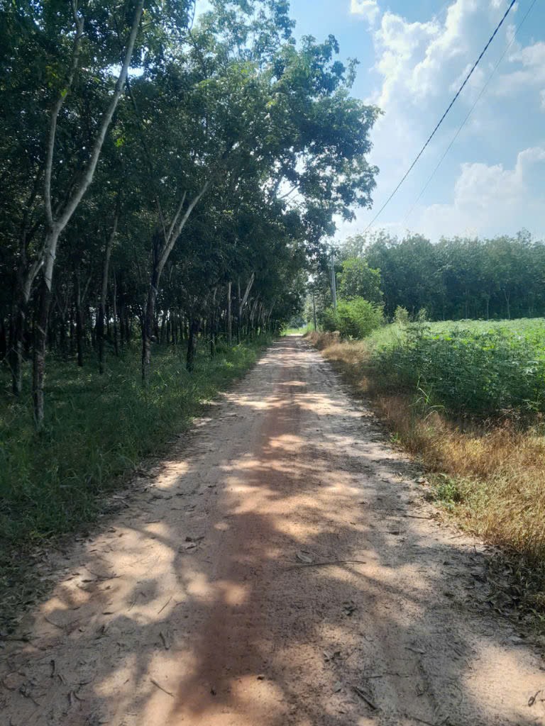 Bán đất  xã Minh Hòa View Hồ Dầu Tiếng Bình Dương giá 47 tỷ