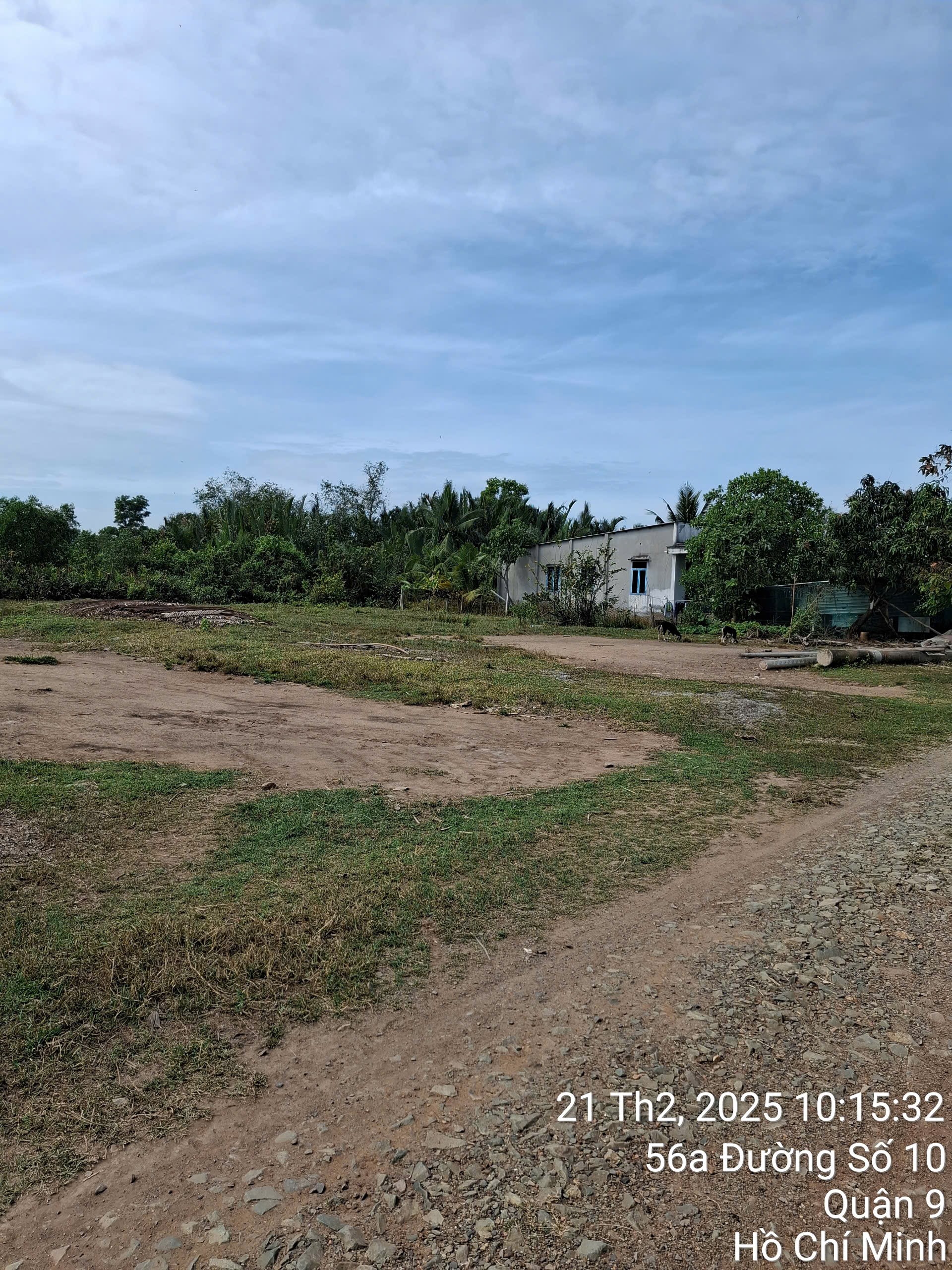 Bán đất đường 10 phường Long Phước Quận 9 giá 10 tỷ Bán đất đường 10 phường Long Phước Quận 9 giá 10 tỷ