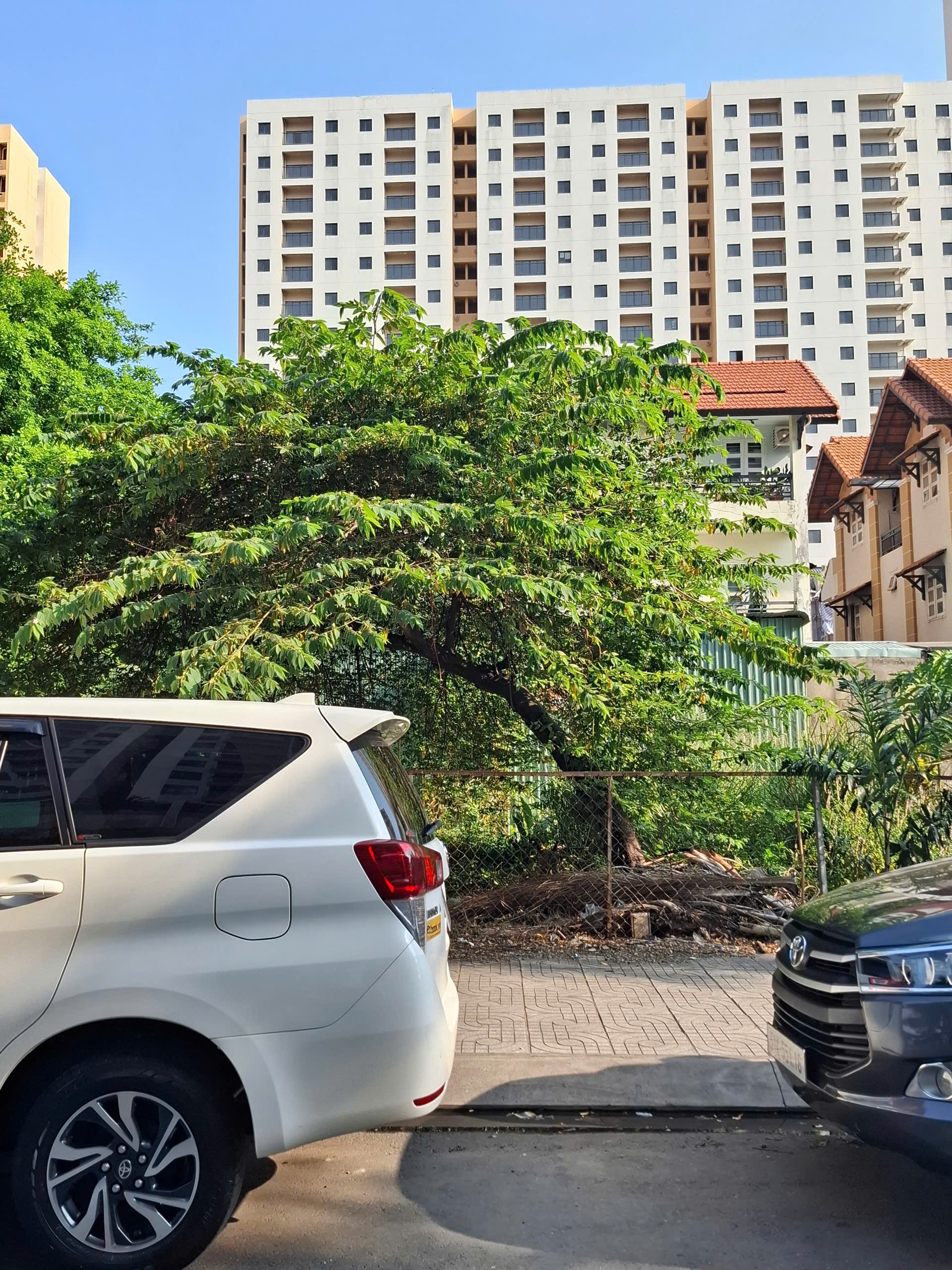 Bán đất mặt tiền  đường D4  phường An Khánh  Tp Thủ Đức giá 65 tỷ