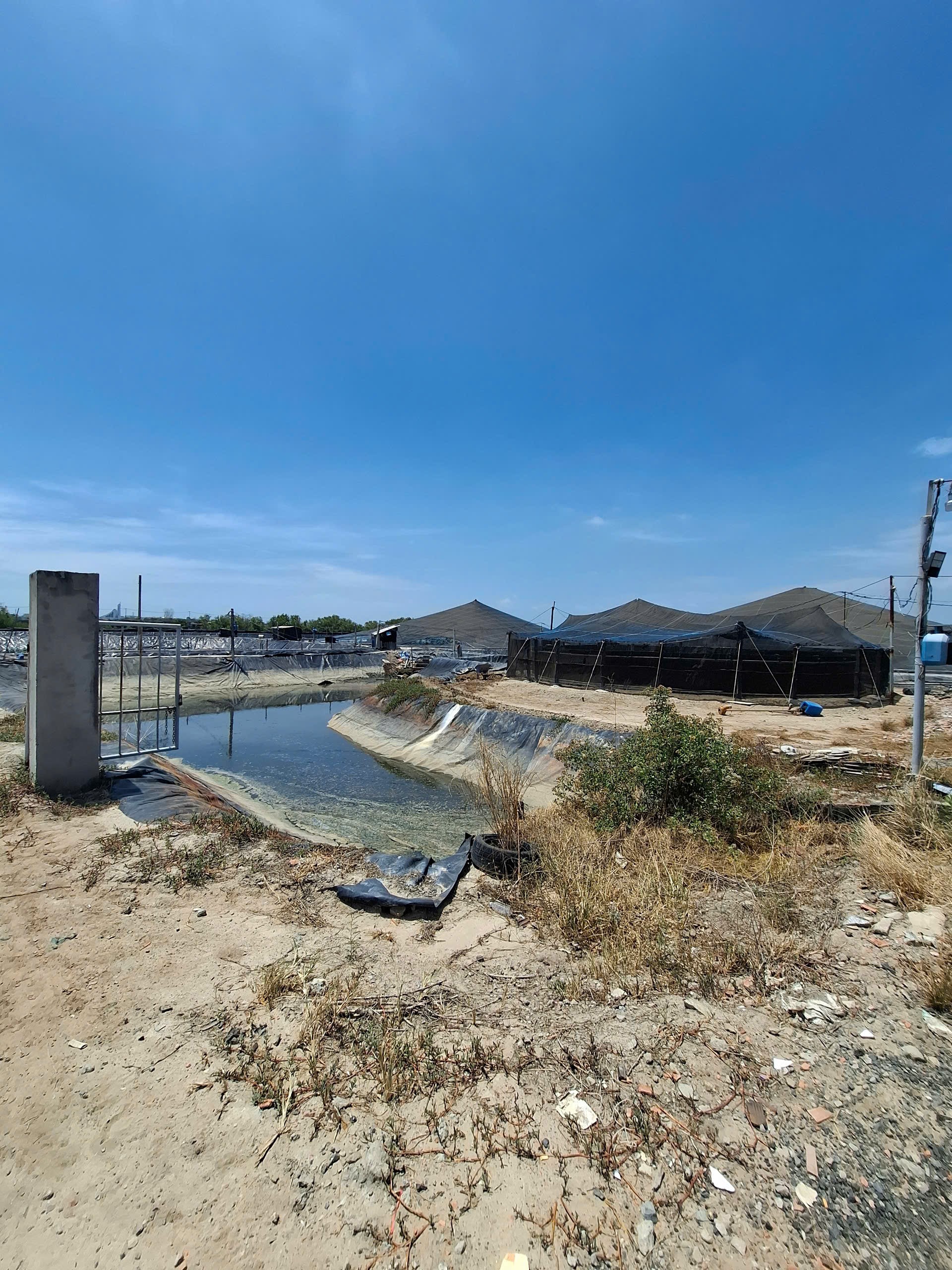 Bán đất đường xe hơi phường 12 Tp Vũng Tàu giá đầu tư 180 tỷ Bán đất đường xe hơi phường 12 Tp Vũng Tàu giá đầu tư 180 tỷ