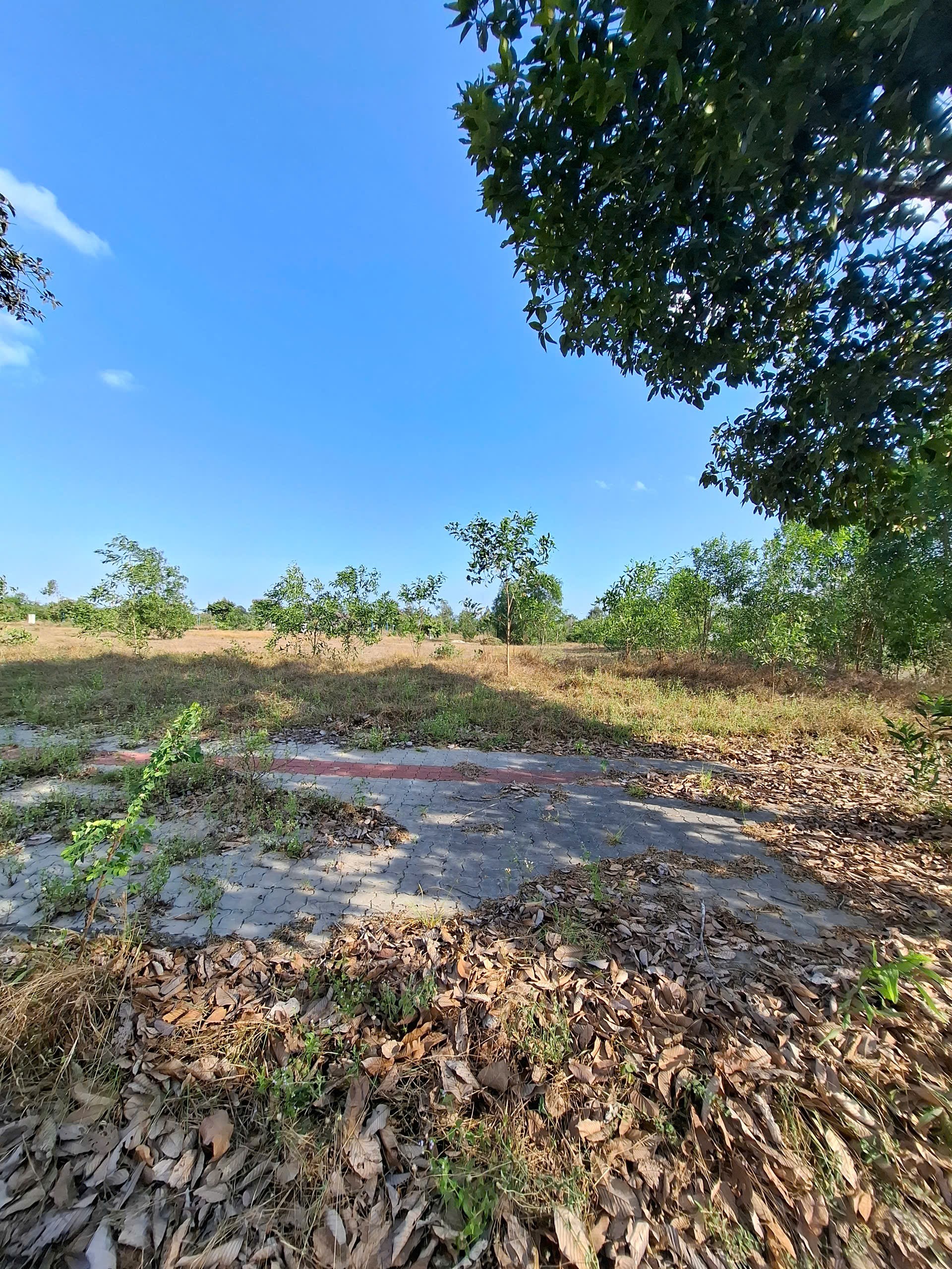 Bán đất Long Tân City đường Nguyễn Ái Quốc Nhơn Trạch giá 13 triệu/m2 Bán đất Long Tân City đường Nguyễn Ái Quốc Nhơn Trạch giá 13 triệu/m2