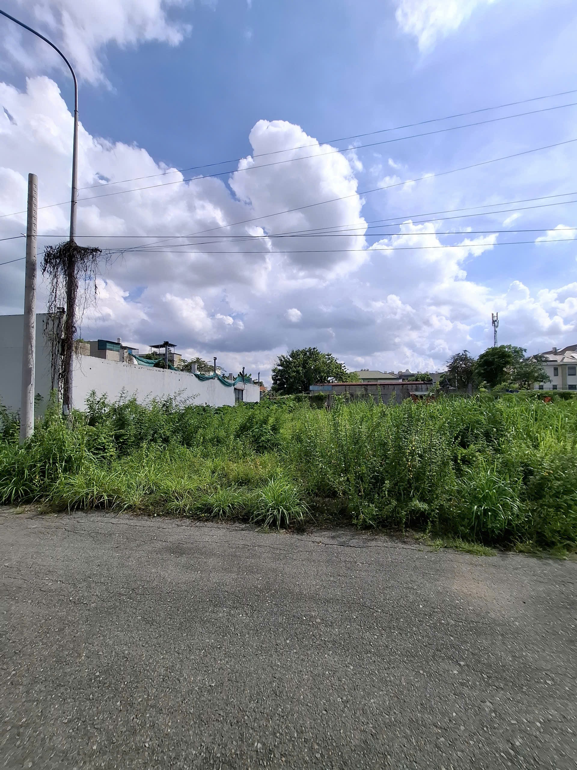 Bán đất đường 12 Hiệp Bình Phước Thủ Đức cũ giá 14 tỷ