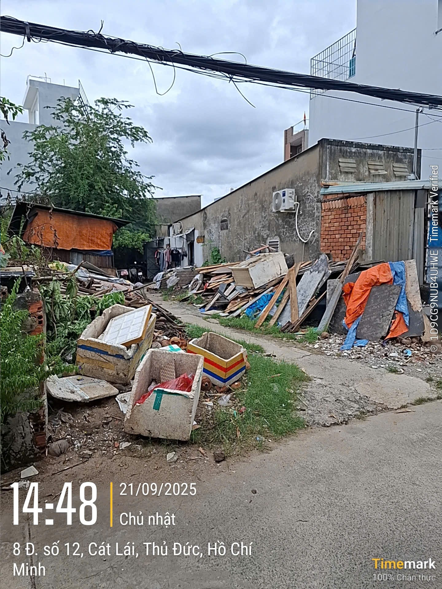 Bán đất đường số 12 Cát Lái Quận 2 giá 10,5 tỷ