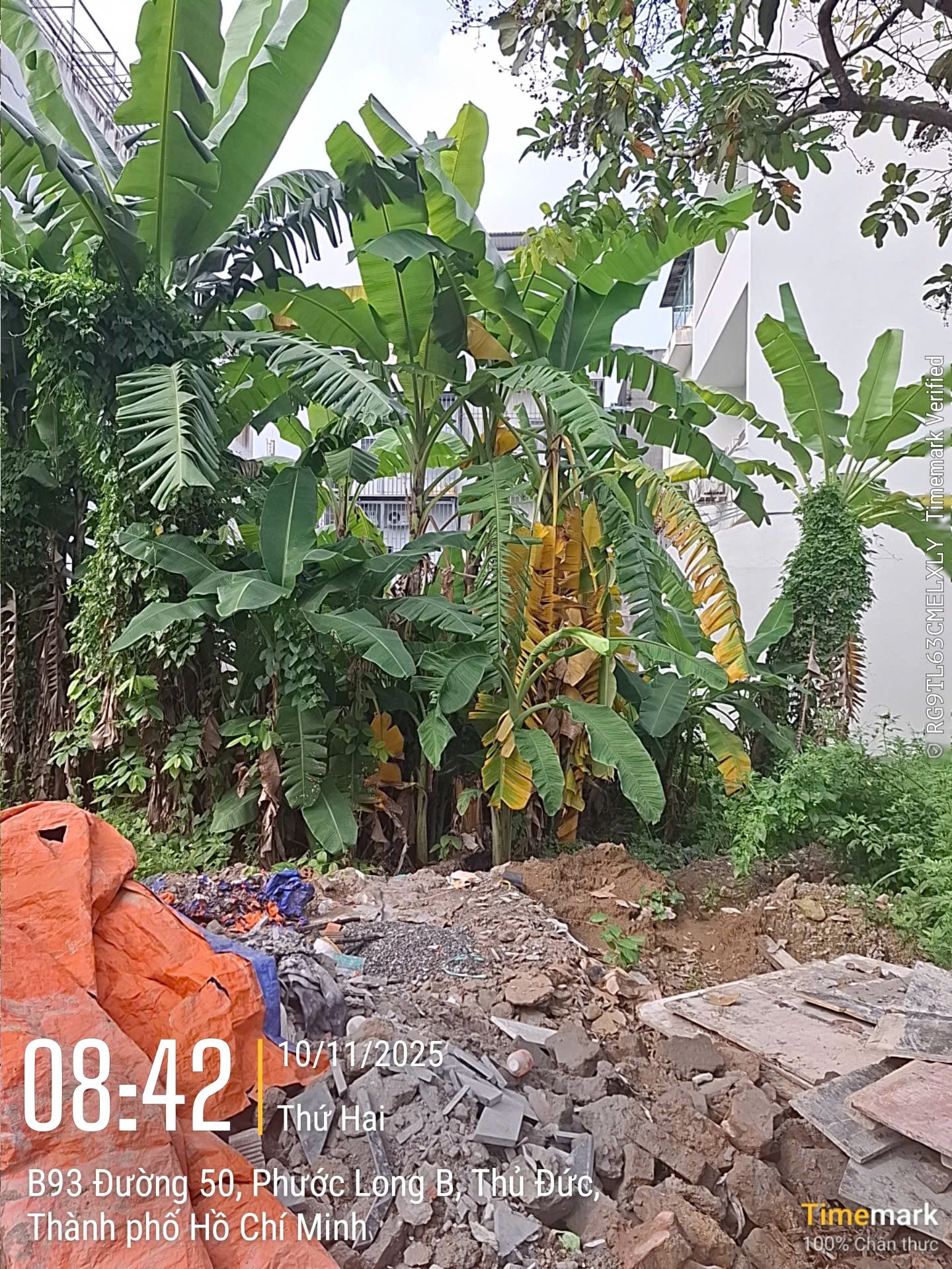 Bán đất đường M1 phường Phước Long B Quận 9 giá 12 tỷ