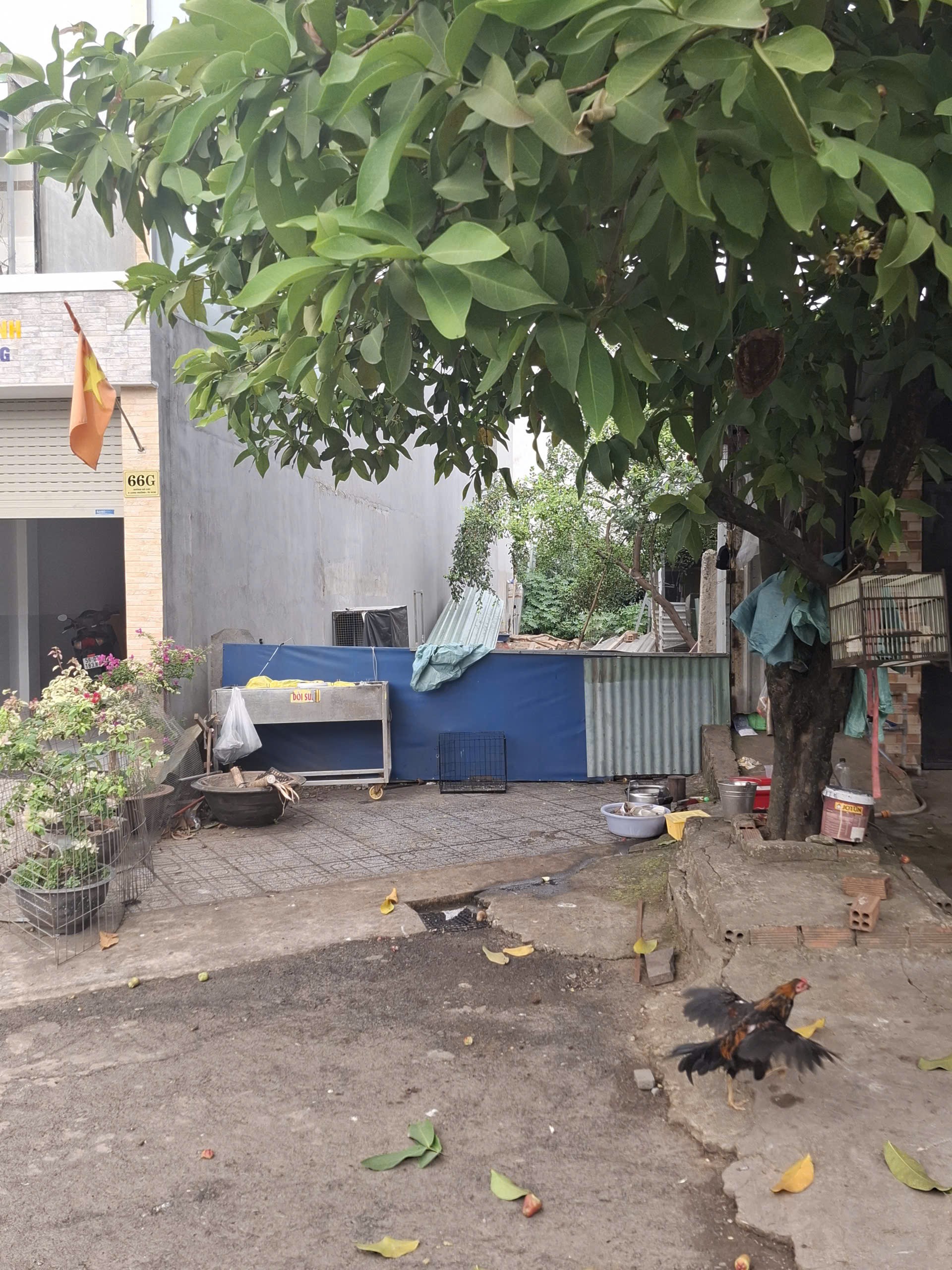 Bán đất mặt tiền Gò Cát phường Phú Hữu Quận 9 cũ giá 6,95 tỷ Bán đất mặt tiền Gò Cát phường Phú Hữu Quận 9 cũ giá 6,95 tỷ