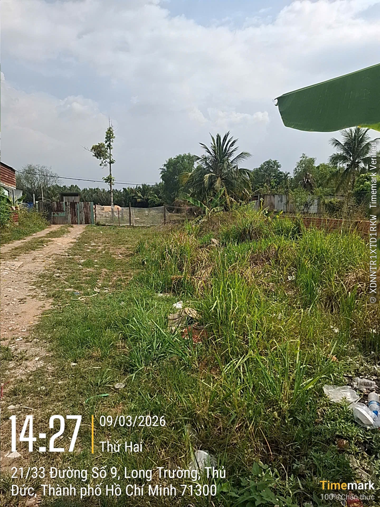 Bán đất hẻm ô tô đường số 9 Tam Đa Long Trường Quận 9 giá 16 tỷ