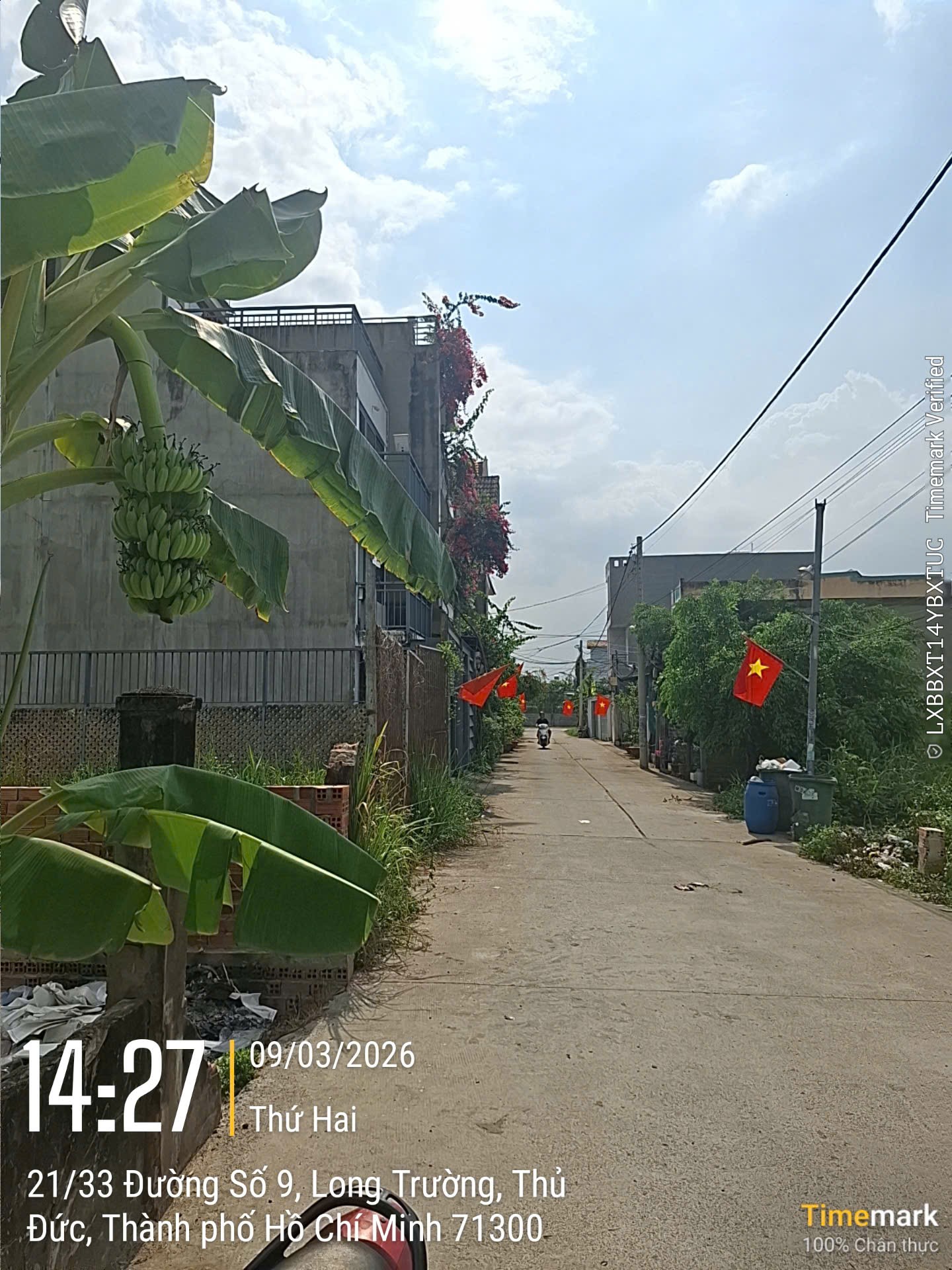 Bán đất hẻm ô tô đường số 9 Tam Đa Long Trường Quận 9 giá 16 tỷ