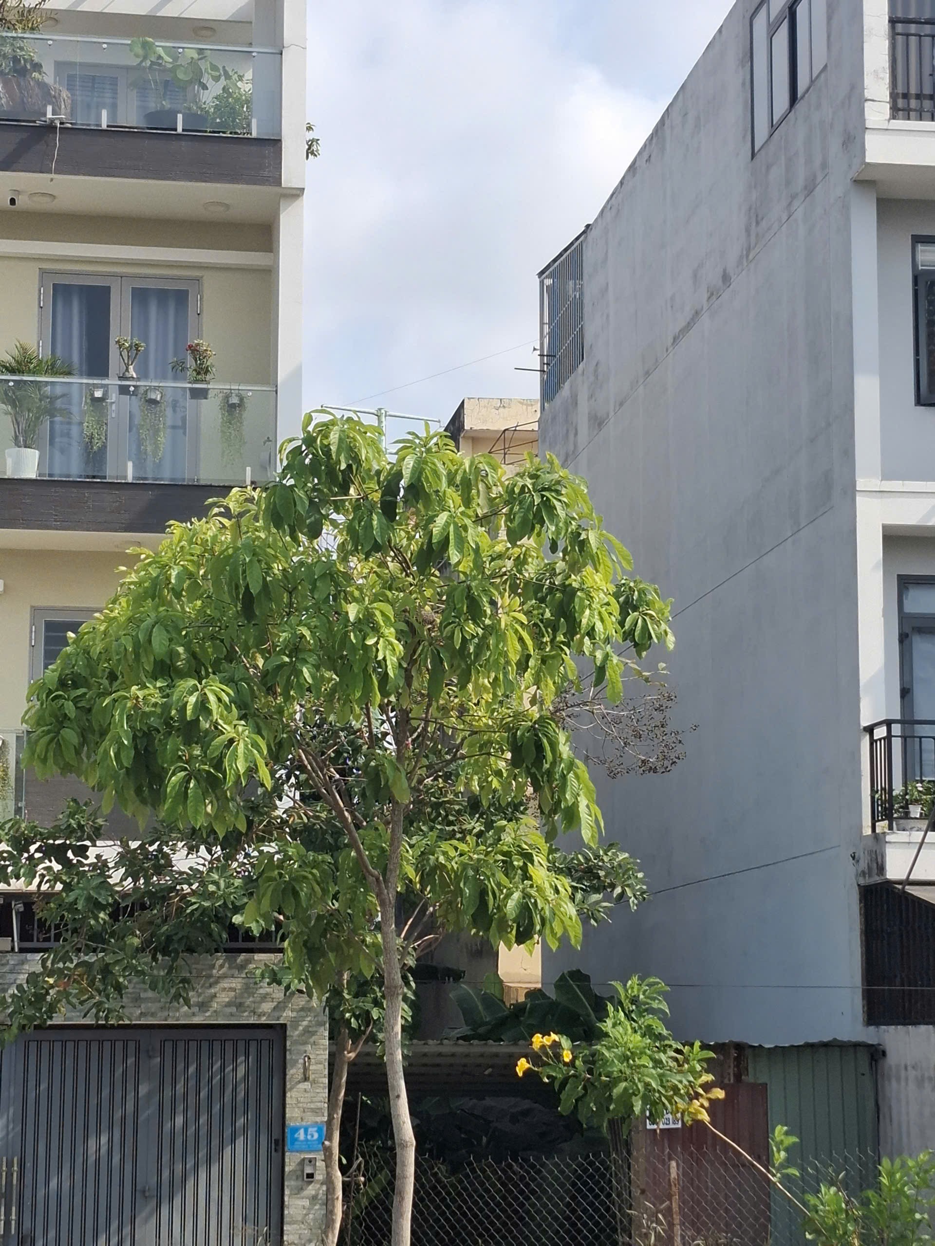 Bán đất đường 659 phường Phước Long B Quận 9 giá 13,1 tỷ