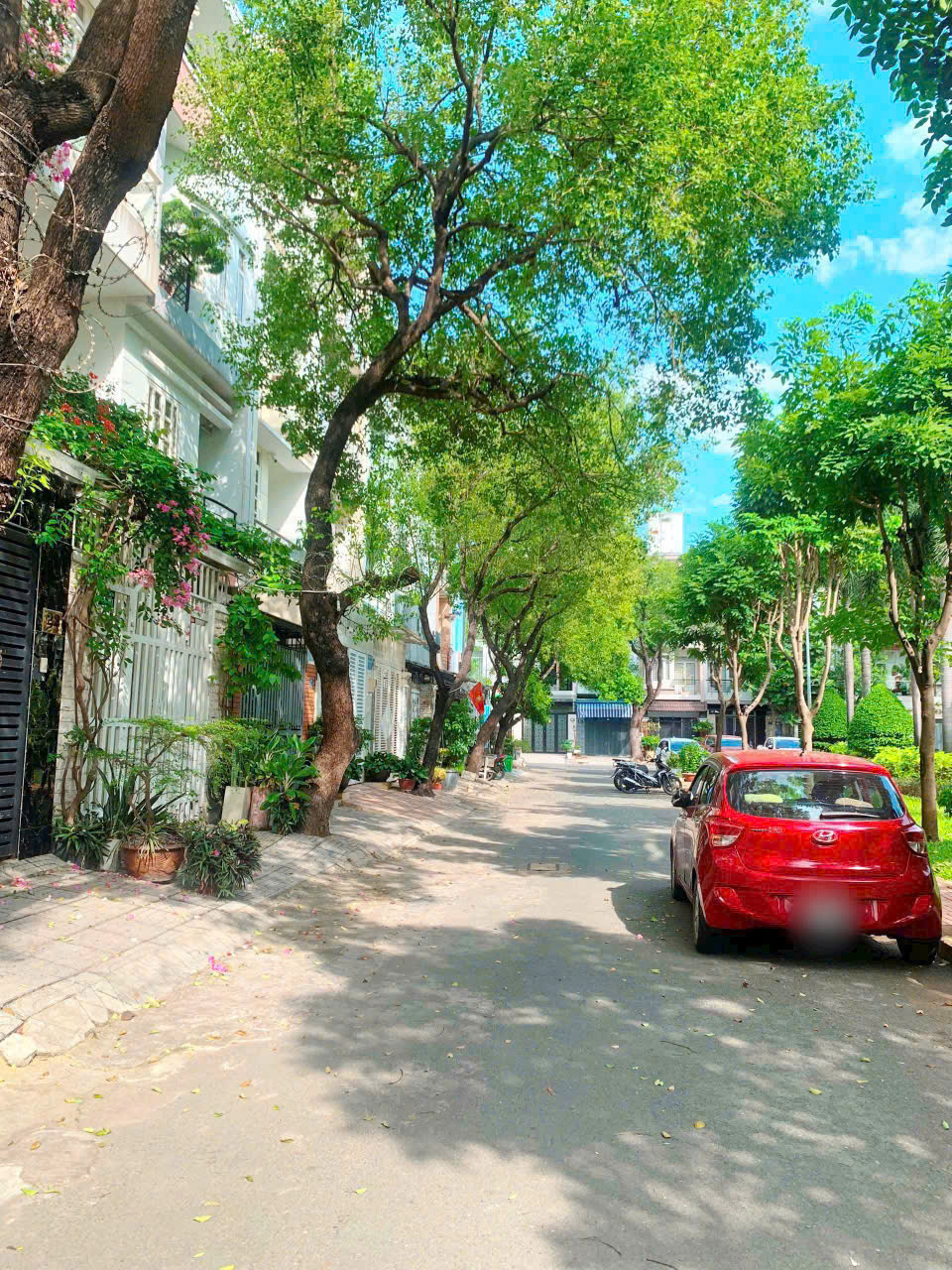 Đất 4x19m đường 44 khu An Phú Hưng Phường Tân Phong Q7. giá tốt Đất 4x19m đường 44 khu An Phú Hưng Phường Tân Phong Q7. giá tốt