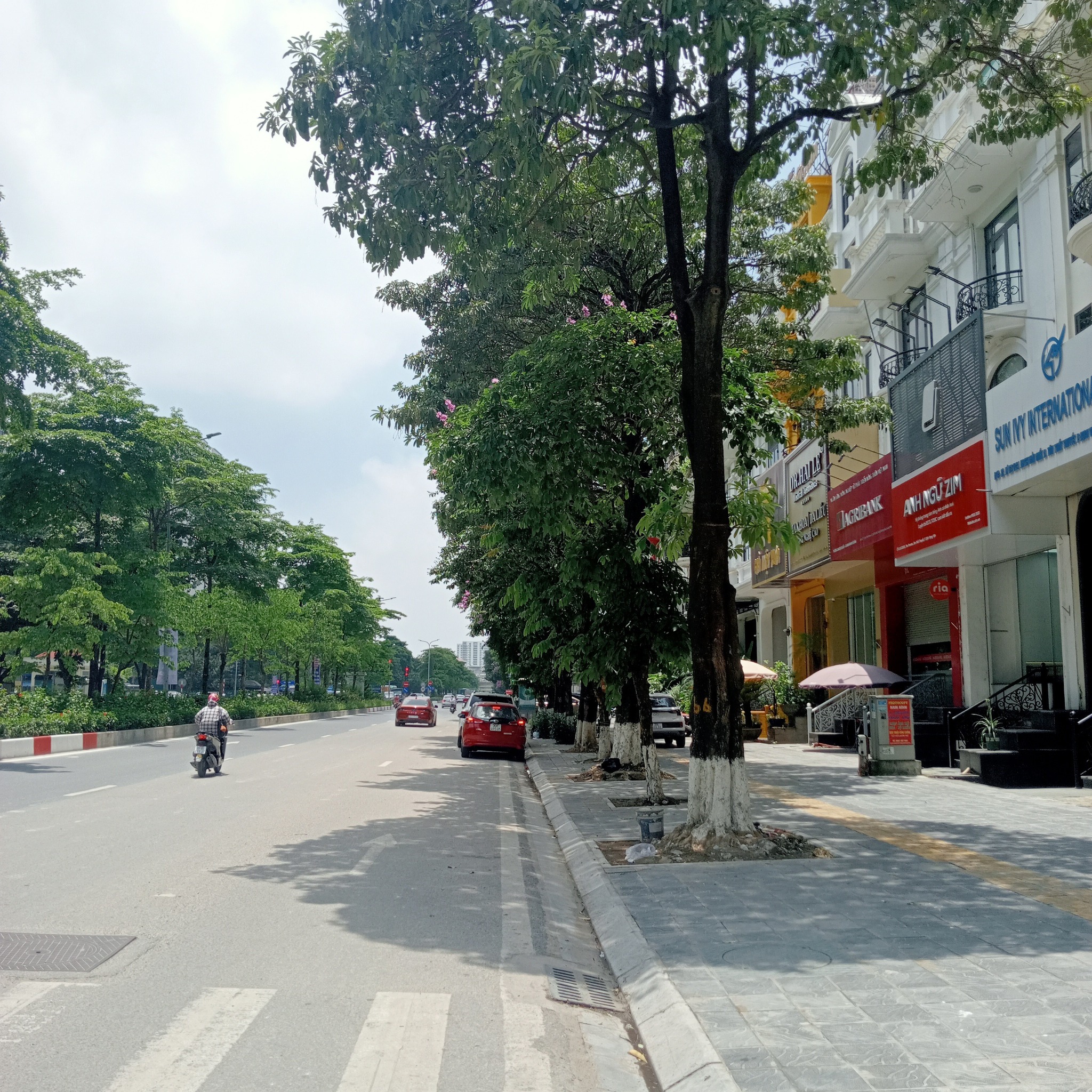 Bán nhà shophouse Tôn Thất Thuyết, Dịch Vọng Hậu, Cầu Giấy, diện tích 120 m2 x 7 tầng giá 56 tỷ
