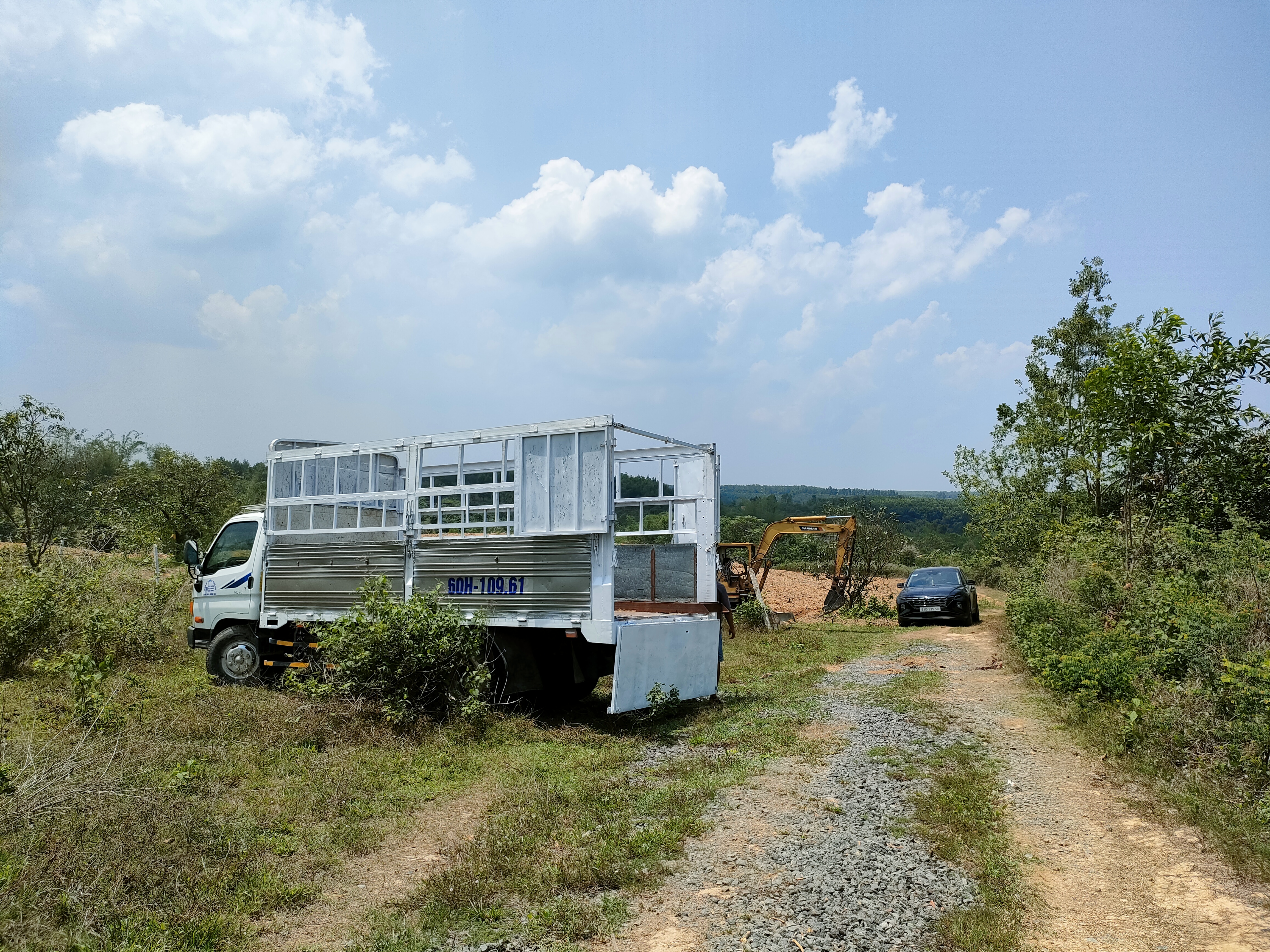 Bán 1 ha đất (trồng đu đủ, bắp, sầu riêng, rau đều tốt) chỉ 450 triệu/sào có thương lượng