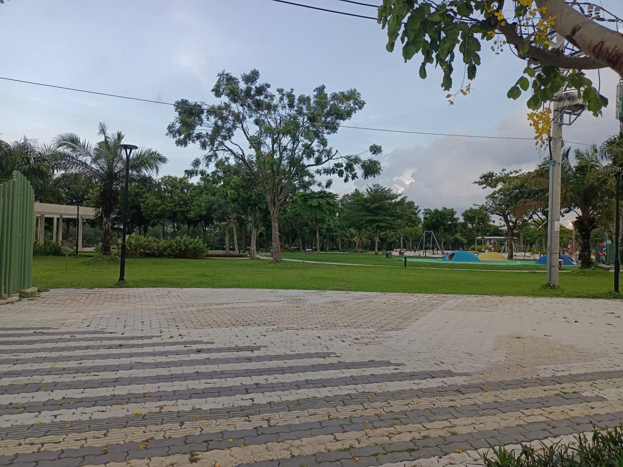 Biệt thự sân vườn mặt tiền đường Đô Đốc Tuyết, PMH Quận 7. 12*18, 80 tỷ.