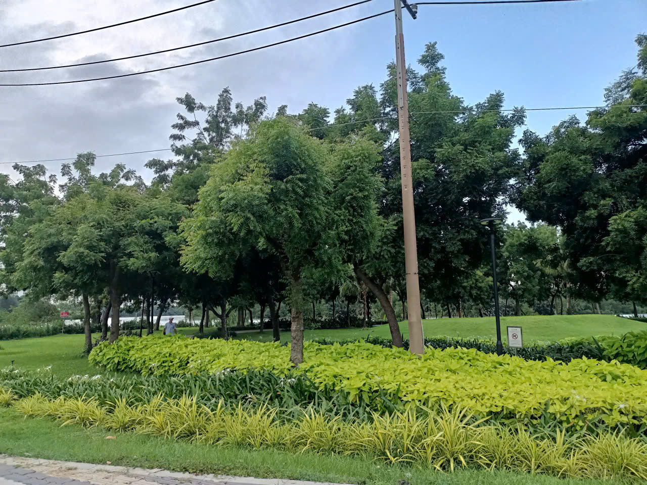 Biệt thự sân vườn mặt tiền đường Đô Đốc Tuyết, PMH Quận 7. 12*18, 80 tỷ.