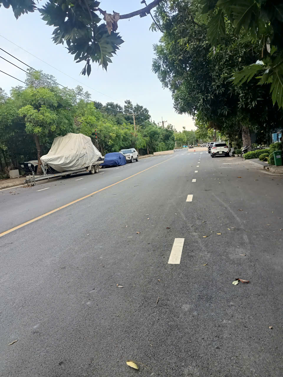 Biệt thự sân vườn mặt tiền đường Đô Đốc Tuyết, PMH Quận 7. 12*18, 80 tỷ.