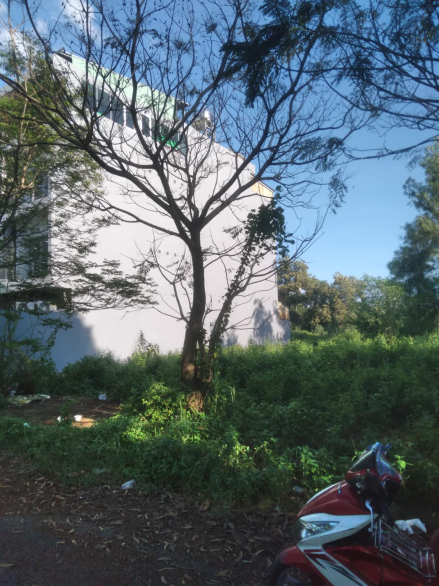 Đất đường lớn KDC Long thới. Ngang 12 m chỉ ~ 30 tr/ m2 thổ cư.