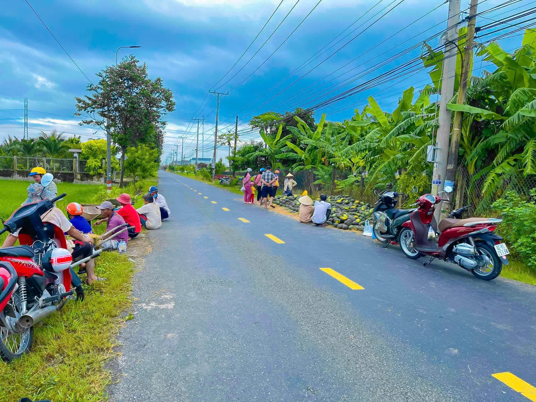 cần bán miếng đất thổ cư mặt tiền TL 833C , ấp 5 Quê Mỹ Thạnh, Huyện Tân Trụ, Long An cần bán miếng đất thổ cư mặt tiền TL 833C , ấp 5 Quê Mỹ Thạnh, Huyện Tân Trụ, Long An