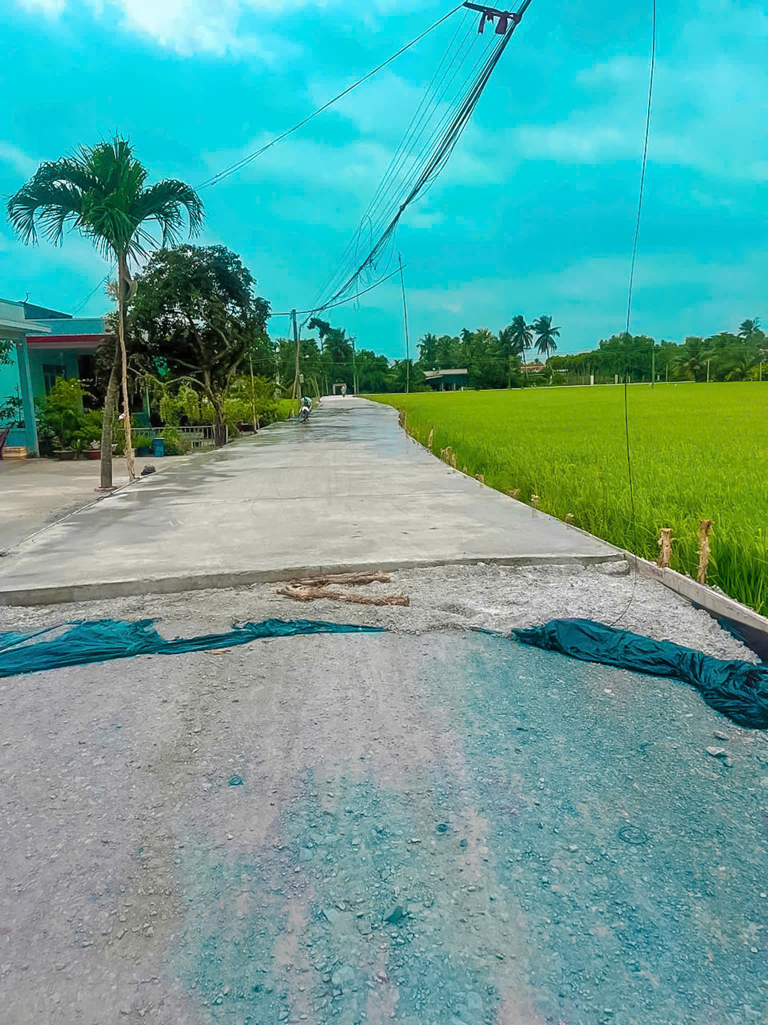 E còn nền thổ Xã Bình Tịnh Huyện Tân Trụ 