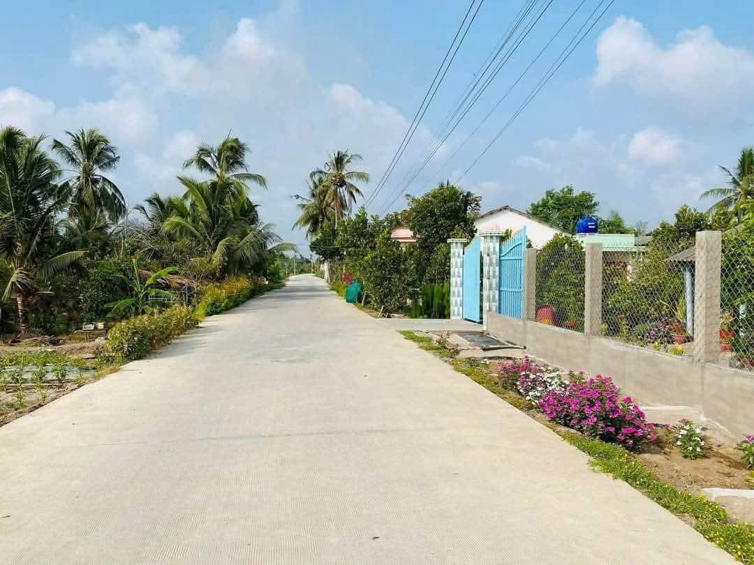 5.5x24 thổ cư đường bê tog 5m Tại Bình Tịnh Tân Trụ Gía 620tr tl 5.5x24 thổ cư đường bê tog 5m Tại Bình Tịnh Tân Trụ Gía 620tr tl