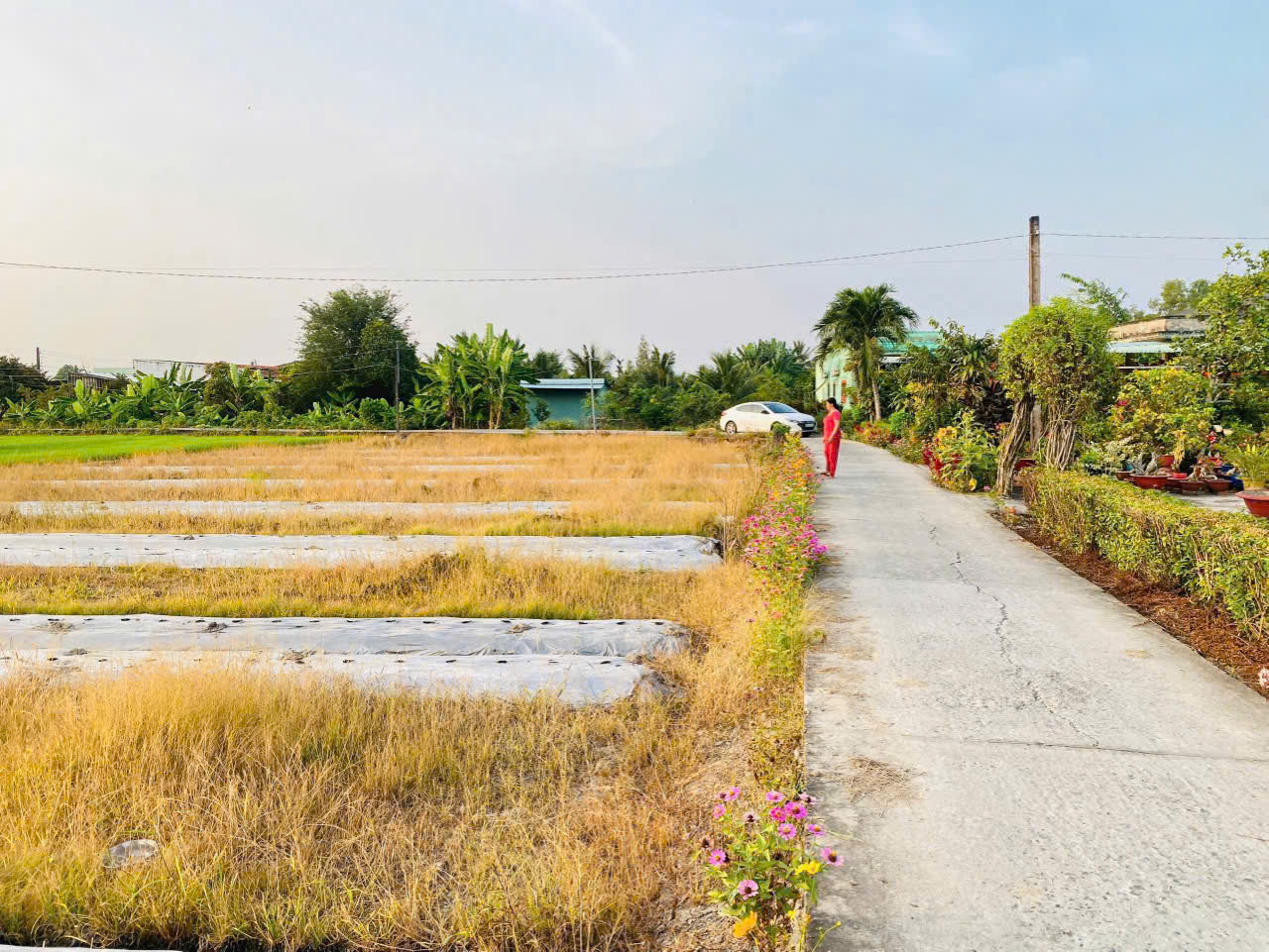 5x28 thổ cư mặt tiên đường bùi văn gà ấp 3 xã quê mỹ thạnh tân trụ 5x28 thổ cư mặt tiên đường bùi văn gà ấp 3 xã quê mỹ thạnh tân trụ